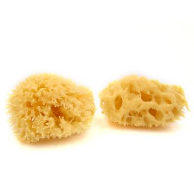 Sans Soucis Natural Sponges i gruppen Sans Soucis / Rengring & Peeling hos Nails, Body & Beauty (4321)