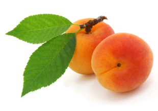 Sans Soucis Naturkosmetik Apricot Moisturizing Day Care