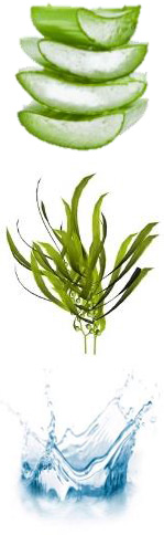 Aloe vera alger thermal vatten baden-baden