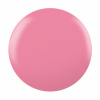 CND Vinylux Nr:349 Kiss From a Rose CND Vinylux Nr:349 Kiss From a Rose