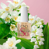 CND SolarOil Jasmine Blossom nagelbandsolja CND SolarOil Jasmine Blossom – näringsgivande nagelbandsolja för återfuktning och skydd