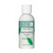 CND Scentsations Birch & Mint 60 ml Lotion CND Scentsations Birch & Mint 60 ml Lotion