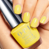 OPI Infinite Shine Fiji Exotic Birds Do Not Tweet OPI Infinite Shine Fiji Exotic Birds Do Not Tweet
