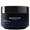 Sebastian Professional No Breaker Bonding Melting Mask Sebastian Professional No Breaker Bonding Melting Mask 145 ml hårinpackning för skadat, skört och stressat hår