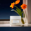 Biodroga Repair & Protect Overnight Repair Cream - Förnyar och reparerar huden över natten  Nattkräm för reparation av huden - Biodroga Repair & Protect - Förbättrar elasticitet och fasthet