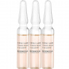 Biodroga Effect Care Vitamin Boost Concentrate Biodroga-Effect Care-Vitamin Boost-Concentrate
