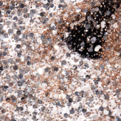 OPI Infinite Shine The Nutcracker Dreams On A Silver Platter OPI Infinite Shine The Nutcracker Dreams On A Silver Platter