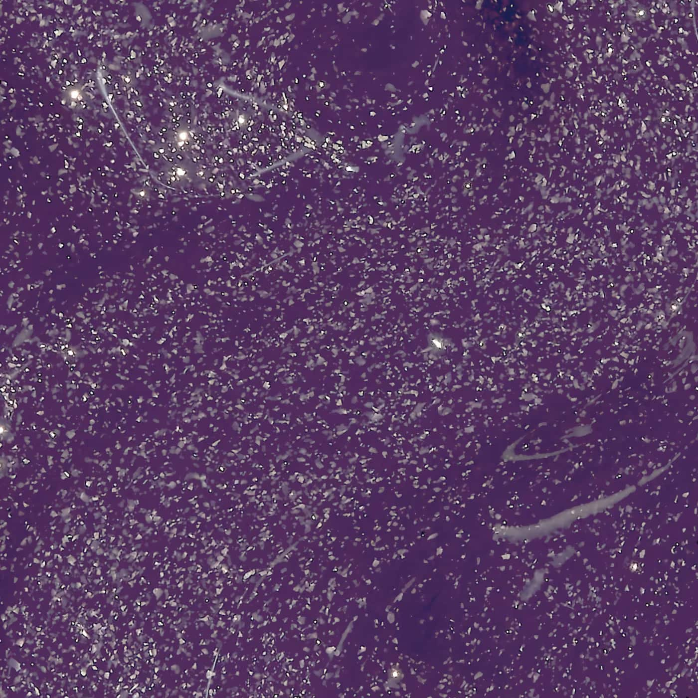 Djup lila nagellack med guldskimmer från OPI Wicked-serien, för en mystisk och självsäker look med förtrollande effekt.